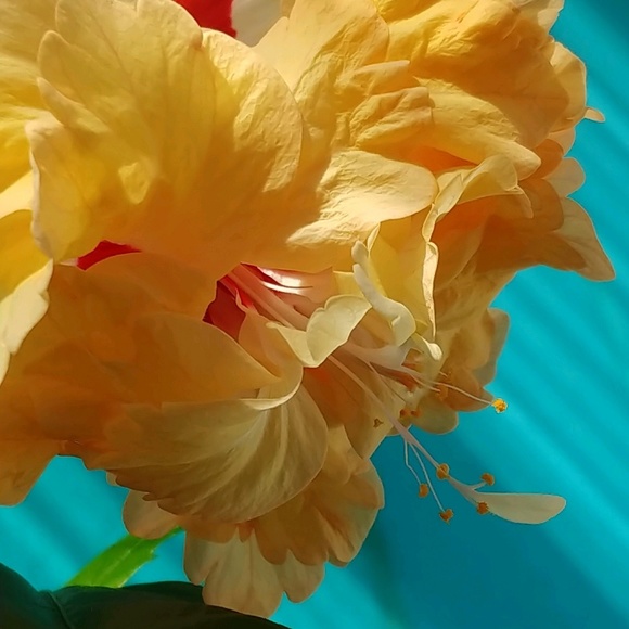 Meet your Posher, Jessica - Picture 1 of 1